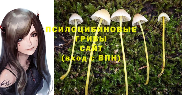 шишки Армянск
