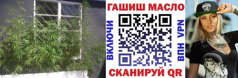 Купить где  Плёс  Дистиллят ТГК жижа 